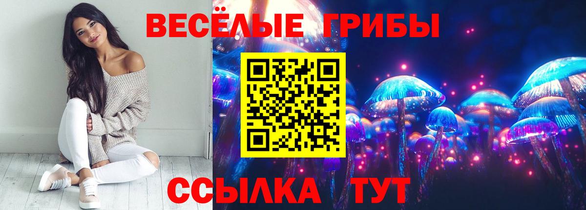 Галлюциногенные грибы Psilocybe Новосибирск