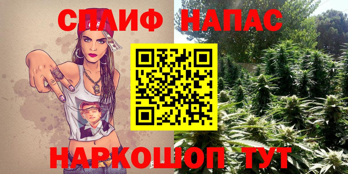 Шишки марихуана Ganja  Бошки марихуана план  Новосибирск  Вход с VPN  МАРИХУАНА ГИДРОПОН 